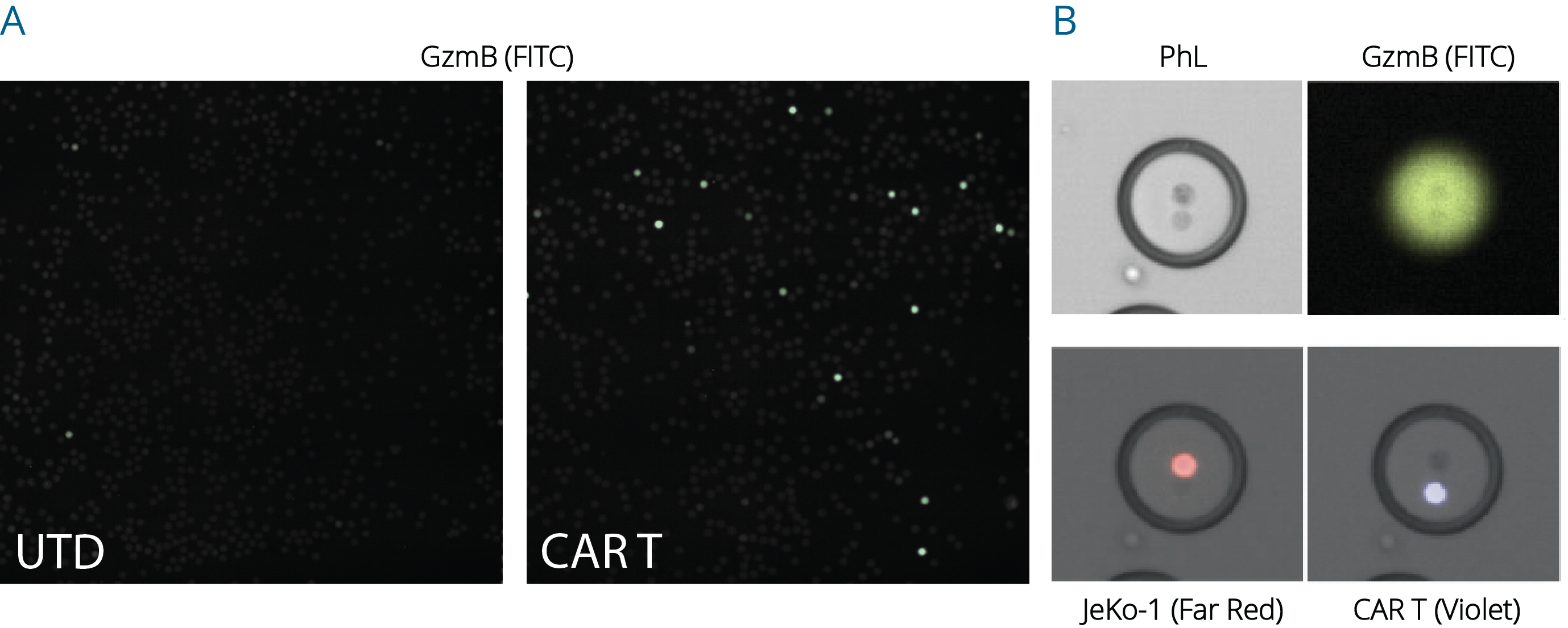 XXdrop sort in use